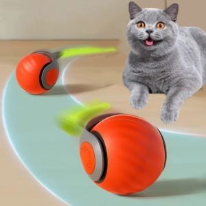Interactive Ball & Rechargeable Pet Toys: A Comprehensive Guide