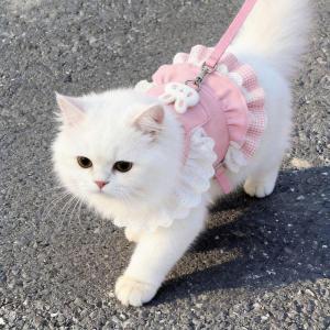 Đầm Mỏng Chống Rụng Lông cho Thú Cưng mùa Xuân và Hè