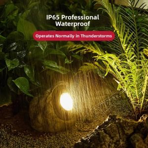 YUANMUXUAN | Decorative Waterproof Solar Powered Outdoor Light