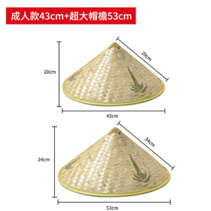 Handwoven Bamboo Green Skin Umbrella Hat Large Brim Sunshade Hat for Adults Outdoor Dance Performance Props Straw Hat