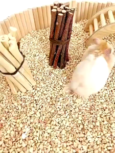 Apple Tree Molar Chew Sticks For Hamster Rabbit Guinea Pig Chinchilla Teething