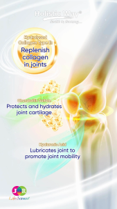 [Bundle of 3] Holistic Way High Strength Joint Collagen with BioCell Collagen® & Vitamin D3 – Supports Joint Mobility & Skin Health | Maintains Healthy Cartilage & Bones | Replenishes Collagen in Joints (60 Capsules per bottle)