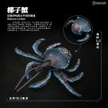 TongDe Crab Model Marine Animal Toy Children's Realistic Bottom-Dwelling Bivalve Shellfish Toy Plastic Static Animal Model. 
