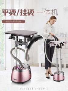 Home Use Double Rod Steam Iron Machine Clothing Store Flat Ironing And Hanging Ironing Integrated Machine Iron for Clothes