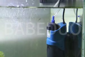 BABEDUO 3 in 1 Silent Aquarium Water Purifier: Complete Guide