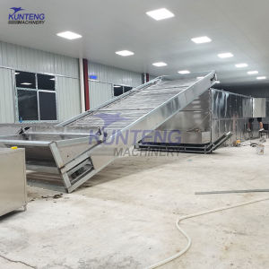 เครื่องอบแห้งผลไม้และผักเพื่อการค้าเครื่องอบแห้งมะม่วงฝรั่งกระเทียมสับปะรดเครื่องอบแห้ง