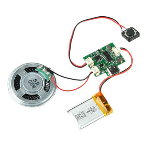 diymore | Handmade DIY Audio Record Module With Type-C Port 8M Capacity MP3 Compatible One-Touch Record & Play for Greeting Cards