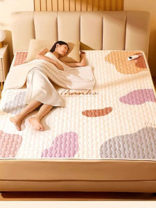 Double Control Graphene Heating Electric Blanket Dehumidification Fungus Elimination Timed Home Use Single Double Person