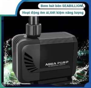 Bơm seabillion công xuất mạnh êm ái