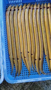 Lươn Mần Sạch Khay 500gr Nguyên Con (giao hỏa tốc 2h)