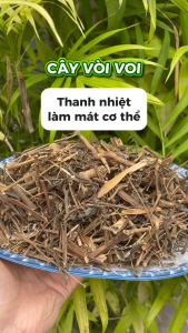 [Hàng mới về] Cây vòi voi sấy khô 500g - Thảo Dược Tấn Phát - Hỗ trợ cải thiện sức khoẻ - Chuyên dùng để pha trà