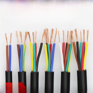 National Standard Avvr2 Core 3 Core 4 Core 5 Core 6 Core 7 Core 0.12 0.2 0.3 0.5 Square Control Signal Power Cord