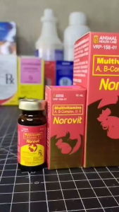 NOROVIT 100ML (VITAMINS)