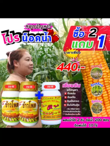 โปรน็อคน้ำ ซื้อ2แถม1 หยุดปัญหาข้าวโพดน็อคน้ำ ต้นเหลือง ต้นม่วง แกนน้ำ แก้น็อคน้ำ ฮอร์โมนพืช ฮอร์โมนข้าวโพด อาหารพืช