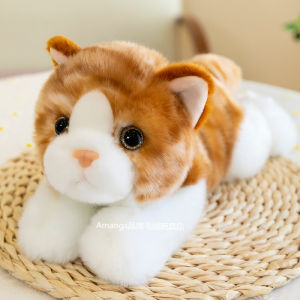 ตุ๊กตายัดนุ่นรูปแมวของแท้ตุ๊กตาแมวสีส้มตัวน้อยแมวอังกฤษน่ารักตุ๊กตาผ้าตุ๊กตาของขวัญวันเกิดสำหรับเด็กผู้หญิง