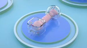 WawaCastle  Soft Rubber Baby Rattle Hanging Toys Early Learning Education Toys Playset For Newborn Baby Toys Mainan Baby