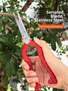 LECAN | Garden Pruning Shears for Branches