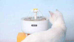 Cat Water Fountain 3L Feeder Water Cat Water Dispenser Automatic Pet Water Dispenser cat water dispenser