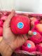 Jc freshfruit