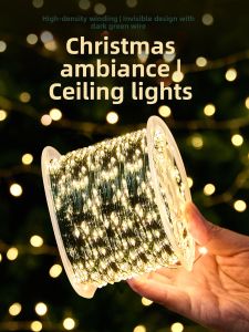 BEAUTY IN THE LIGHT | Christmas Tree Decorative LED Lights for Outdoor and Home Use