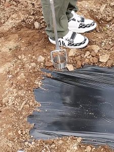 Cái Máy đục màng nhựa Máy cắt màng nông nghiệp bằng kim loại 5cm / 9cm Dụng cụ ghép màng trồng rau củ Dụng cụ làm