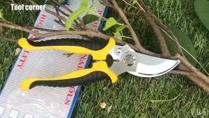 1pc Gardening Pruning Shears High Carbon Steel Garden Plant Scissors Cutter Branch Hands Pruner Cutter for Bonsai