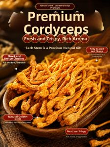 WENXIANGZAN | High-quality Wild Dried Cordyceps Flower No Sulfur Processing