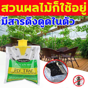 สวนผลไม้ก็ใช้อยู่ สารล่อแมลงวันทอง FLY TRAP สารล่อแมลงทอง การจับแมลงวันจะถูกสุขอนามัยมากขึ้น ที่ดักแมลงวันทอง 1 ขวดใช้พื้นที่ได้ 100 ไร่ ยากำจัดแมลงวันทอง จับได้ครั้งละ 4kg สารล่อแมลงวันทองตัวเมีย สารล่อแมลงวันทอง สามารถใช้กับพืชกินผลได้ทุกชนิด ดักแมลงวัน