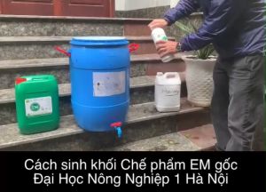 Chế phẩm EM gốc CHĂN NUÔI. Lên men ủ chín thức ăn xử lý mùi hôi chuồng trại. Men Vi Sinh Đại Học Nông Nghiệp 1 Hà Nội. HSD 2 năm