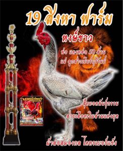 ไข่ไก่ชน ลูกแดงหล่อ 50 ล้าน รับประกันเชื้อ (ส่งด่วน)!!