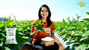 Pupuk Nitrea Non Subsidi Repacking 1 Kg - Urea