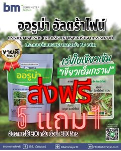 เฉลี่ยเหลือเพียง 208 บาท ซื้อ 5 แถม 1 ออรูม่า อัลตร้าไฟน์  ใบเขียวเข้ม มีแร่ธาตุรองและแร่ธาตุเสริม 60 ชนิด ใบหนาฟื้นสภาพต้นโทรม สร้างคลอโรฟิลด์ได้ดี