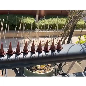 Gaya Baru Duri Burung Multifungsi Kombinasi Duri Panjang Dan Duri Pendek Paku Pengusir Kucing Anti Burung Merpati Gagak Kucing Anjing Musang Ular