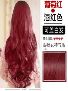 Pure Plant Based Hair Dye Coffee Brown Black Purple Non-irritating Popular Color Womens Hair Coloring Cream Grape Red Wine Color
