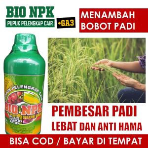 REKOMENDED Bio NPK GAZA Pupuk Padi Berbuah Besar Padi Cepat Lebat Saat Musim Hujan - Pupuk NPK Cair Plus Obat Pelebat Padi Paling Bagus dan Terlaris 500 ML Pupuk Cair Semprot Pelebat Buah Padi Berbuah Lebat Tanpa Rontok Terbaik dan Terbagus