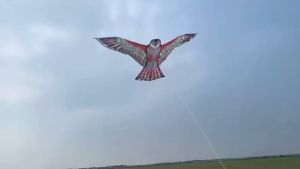 Plastic kite Easy flying kite Cartoon kite outdoor game kite