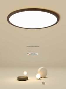 Elegant Minimalist Modern Circular Ceiling Light