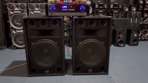 Professional Karaoke Speaker 12 inch 15inch High-Power Passive Speaker Audio Home KTV Subwoofer