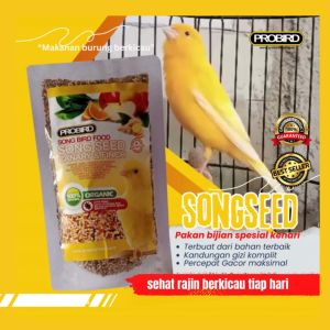 Pakan Burung Kenari Probird: Sehat, Seimbang & Berkualitas