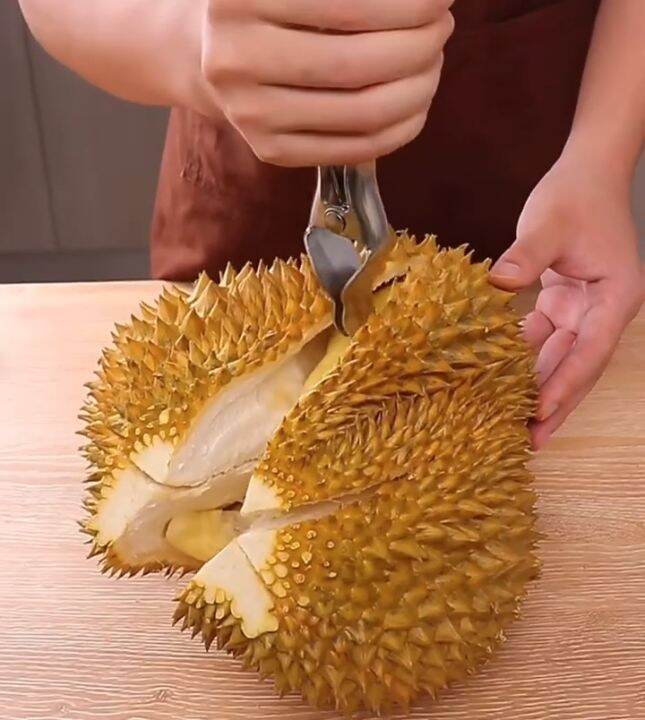 Durian peel stainless steel ที่แกะเปลือกทุเรียน ที่ปอกเปลือกทุเรียน 1 ชิ้น