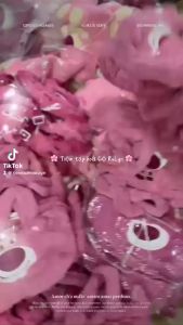 Túi Gấu Dâu Lotso Màu Hồng Chữ Nhật Đeo Chéo Siêu Dễ Thương  Siêu Cute Lông Siêu Mịn