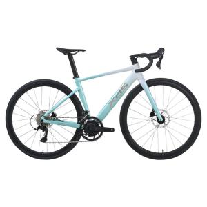 XDS | Carbon Fiber Fork Road Racing Bicycle