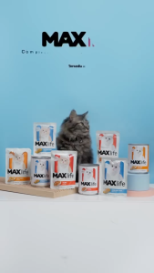 MAXLife pouch 85gr for cat all varian max life pouch makanan kucing basah