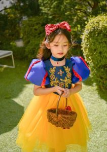 Alice In Wonderland Themed Girl Birthday Dress