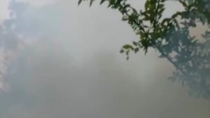 💗🙋‍♀️💗野生米团花黑蜂蜜500克云南高山黑蜜黑色土蜂蜜