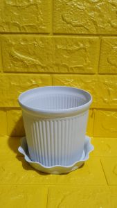1 piece – Premium Quality White Plastic Pot with Drain Plate (Ht. 4 Inches Opening 4 inches) [Stock Code: 9300] [BUY 1 TAKE FREE 1 Pc. 2 to 3 leaves Philodendron or Pothos cutting randomly picked by Seller]