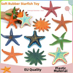 Educational Decorative Sea Star Model