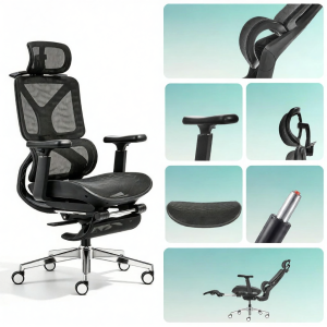 Flexispot | Ergonomic Comfortable Lumbar Support Computer Chair