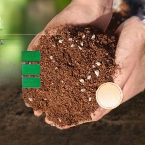 Flower Soil Nutrient Soil Large Bag Special for Flower Cultivation General-Purpose Decomposed Flower Fermentation Vegetable Planting Soil Bird of Paradise Fertilizer Loose