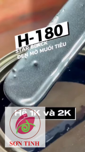 Sơn màu đen mờ muối tiêu 1K sơn dàn áo lốc máy (Code: H-180) (Phủ bóng mờ bảo vệ)